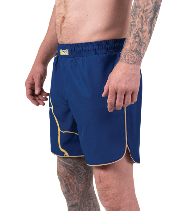 Kintsugi Shorts – Blue