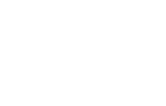 BJJstore